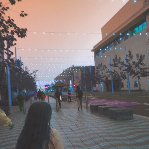 Meet your Posher, Gracie - Picture 1 of 1